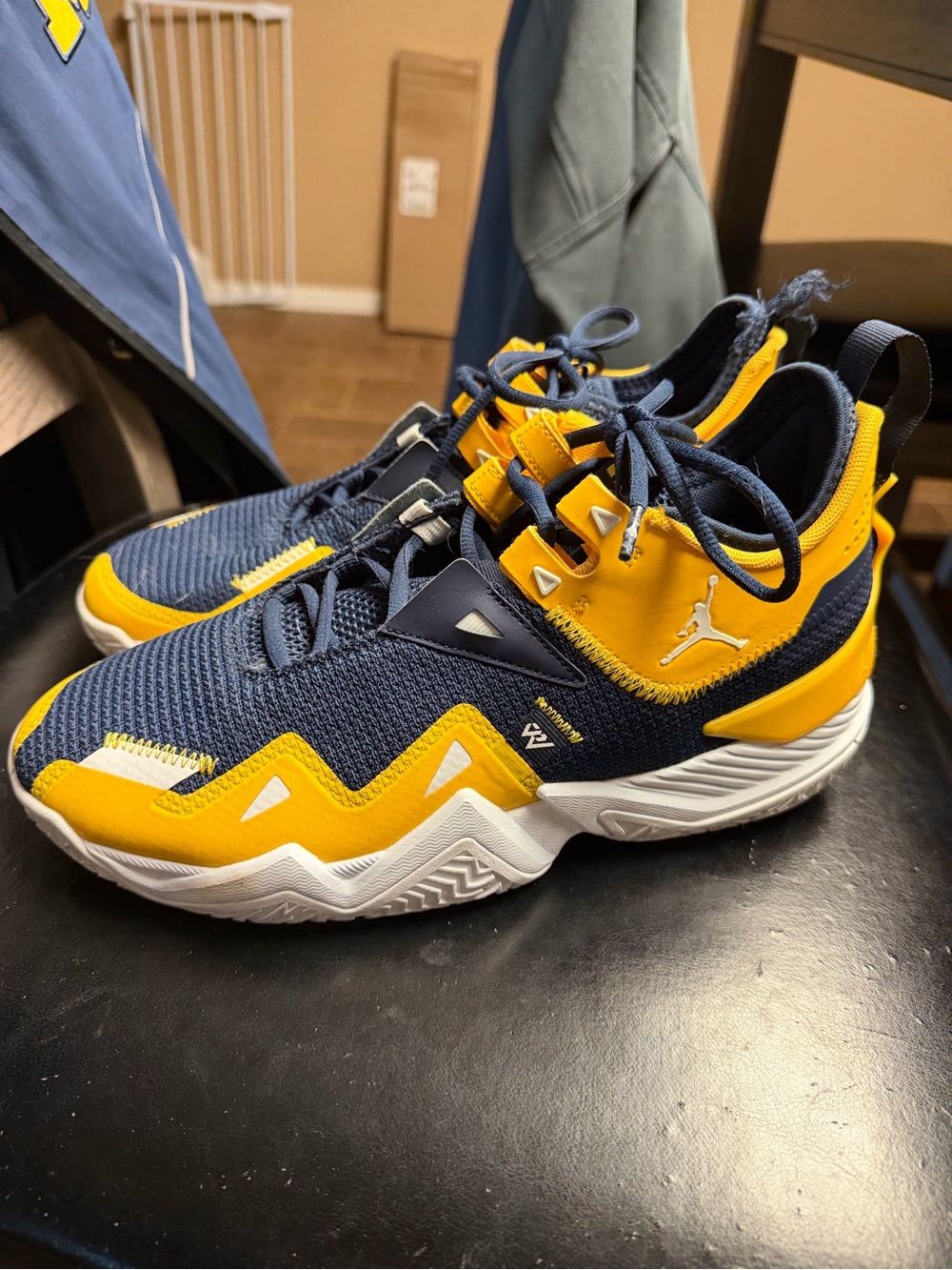 Jordan University of Michigan Maize and Blue Low-Top Performance Sneakers